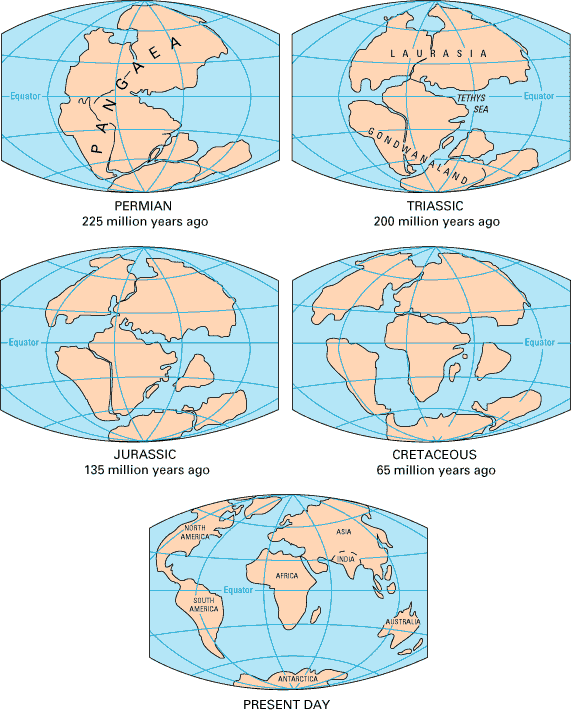 Mapa Pangea Y La Deriva De Los Continentes Pangaea And The Shifting Of The Continents Map