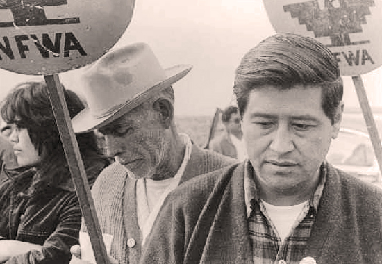 CESAR CHAVEZ IN ACTION