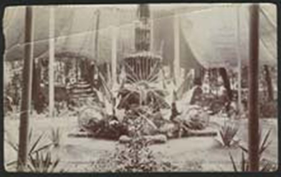 CINCO DE MAYO IN MEXICO CITY EARLY 1900s