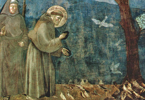 GIOTTO'S ST FRANCIS OF ASSISI - SERMON TO, NOT FOR, THE BIRDS