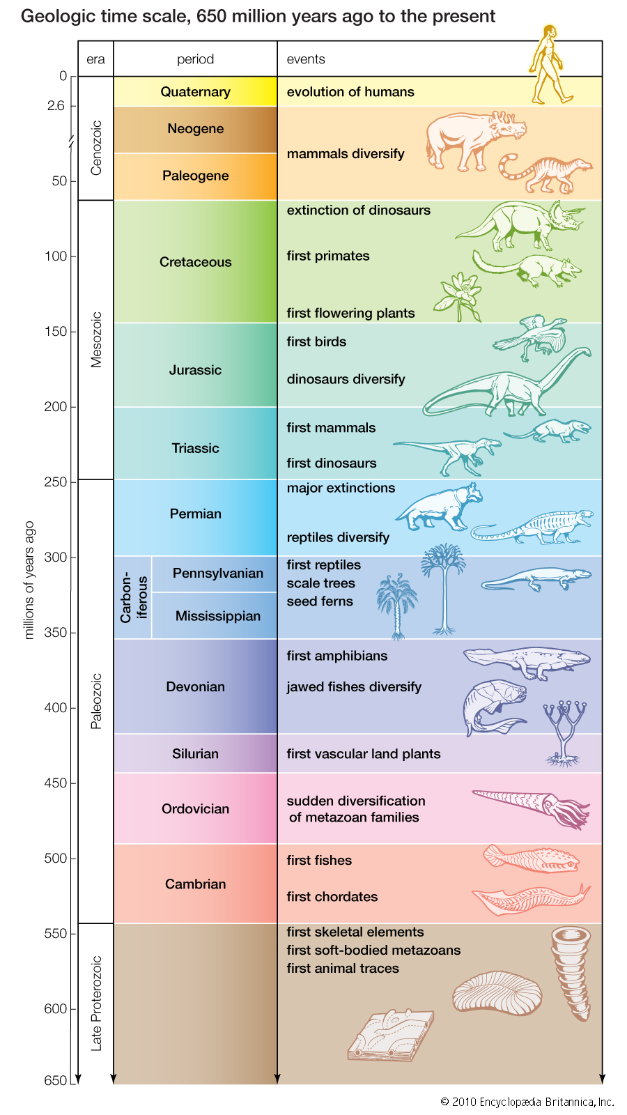 Geologic Time Scale 650 Million Years Ago to the Present - How Many Millions of Years Ago, Era, Period, and Events