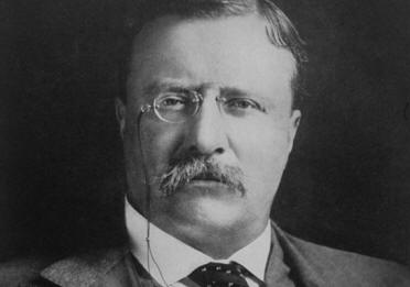 THEODORE ROOSEVELT - PRESIDENT OF THE U.S. 1901-1909
