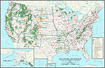 2006 - United States National Forests